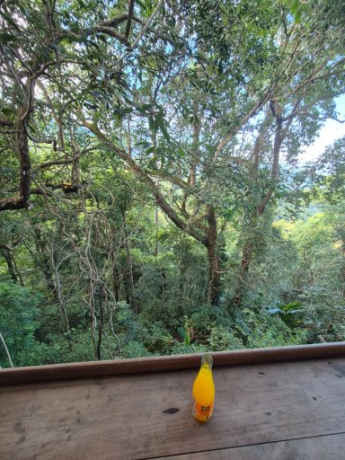 Spaßgetränk mit Ausblick